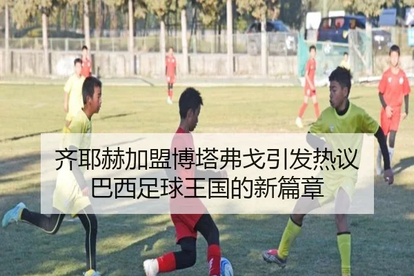 齐耶赫加盟博塔弗戈引发热议 巴西足球王国的新篇章（Kaiyun）