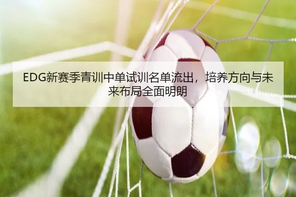 EDG新赛季青训中单试训名单流出，培养方向与未来布局全面明朗（Kaiyun）